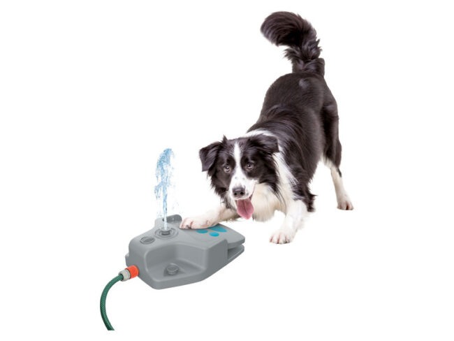 zoofari® Vodní fontána pro psy